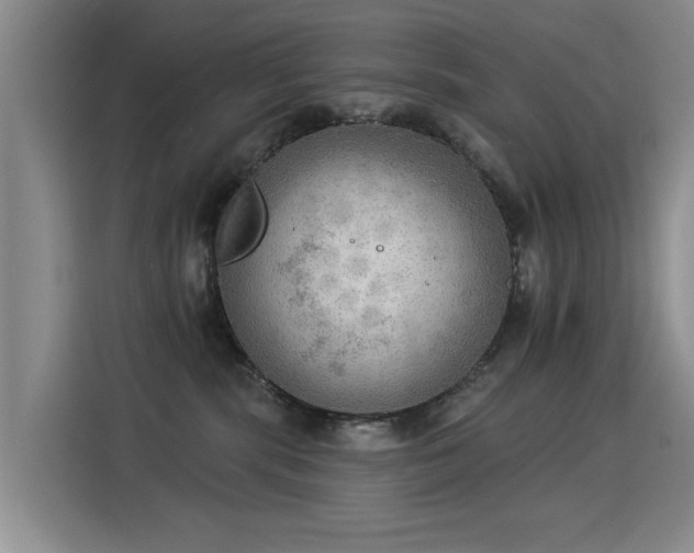 X0000115850283200911201620