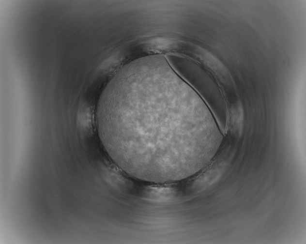 X0000115850284200911201620