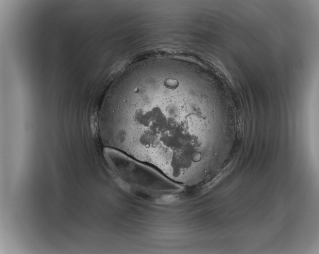 X0000115850285200911201620