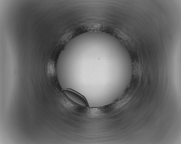 X0000115850287200911201620
