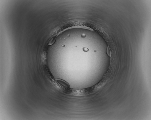 X0000115850288200911201620