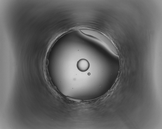 X0000115850289200911201619