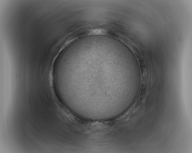 X0000115850290200911201619