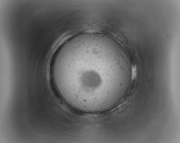X0000115850291200911201619
