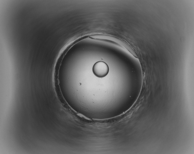 X0000115850292200911201619