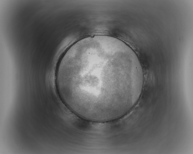X0000115850293200911201619