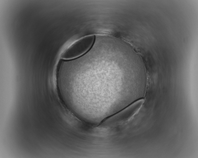 X0000115850294200911201619