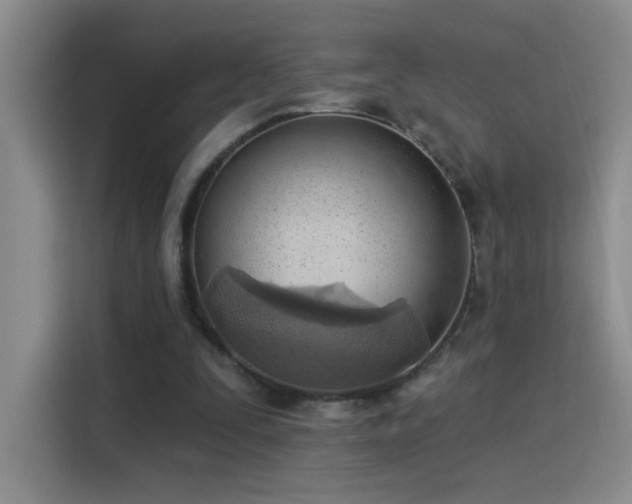 X0000115850295200911201619