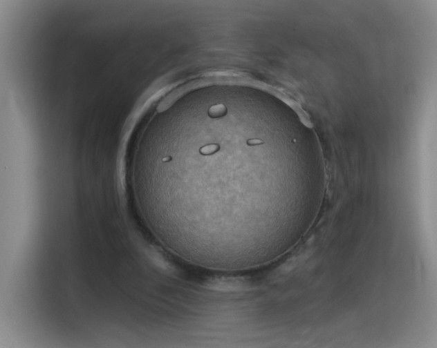 X0000115850296200911201619