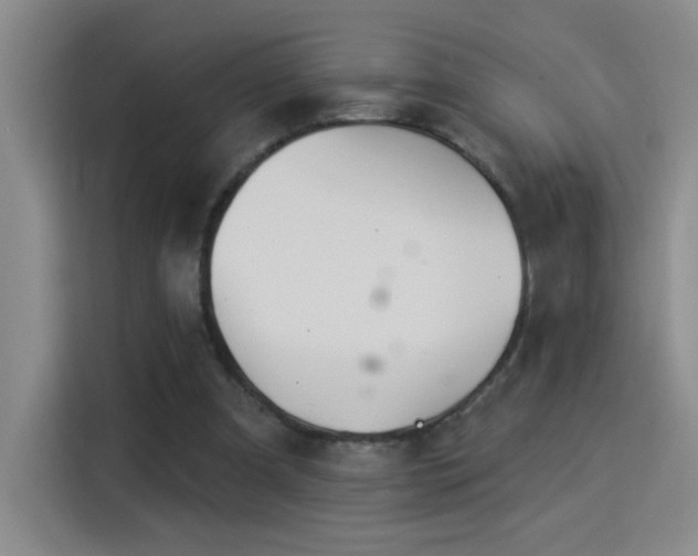 X0000115850297200911201619