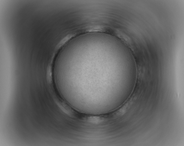 X0000115850298200911201619