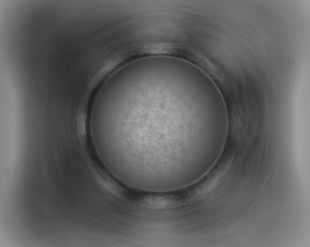 X0000115850299200911201619