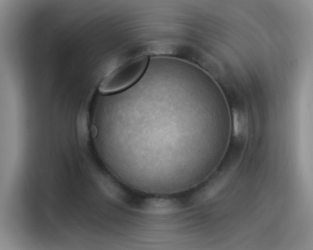 X0000115850300200911201619