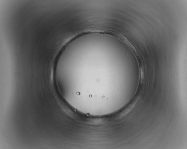 X0000115850301200911201619