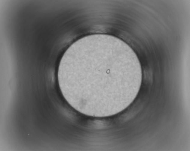 X0000115850302200911201619