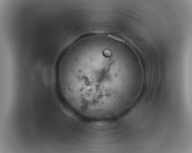 X0000115850303200911201619