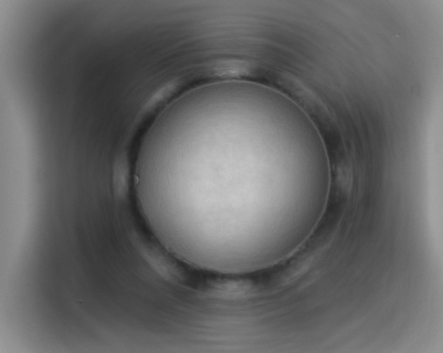 X0000115850304200911201619