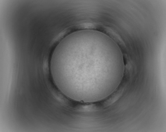 X0000115850306200911201619