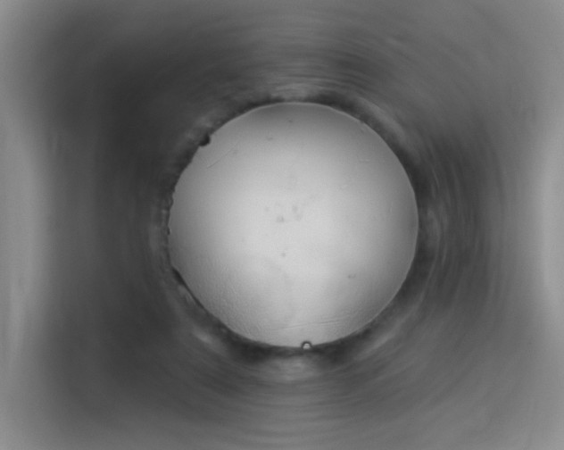X0000115850307200911201619