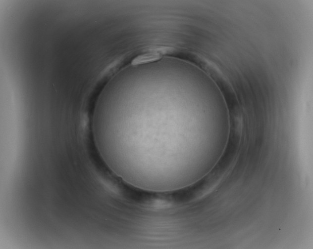 X0000115850308200911201619