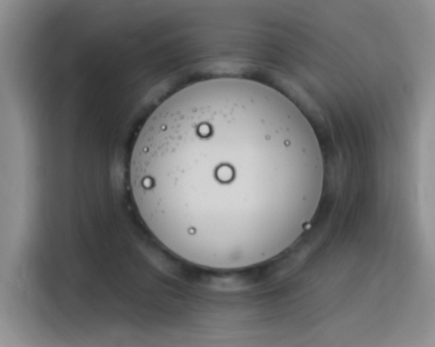 X0000115850309200911201619