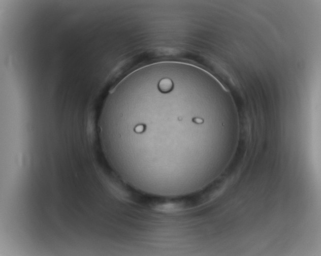 X0000115850312200911201619
