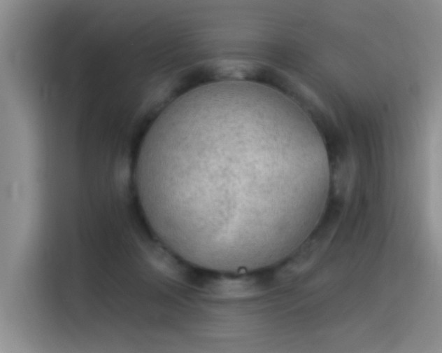 X0000115850314200911201619