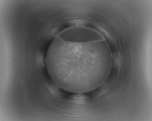 X0000115850316200911201619