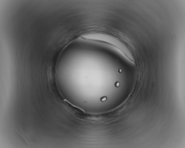 X0000115850317200911201619