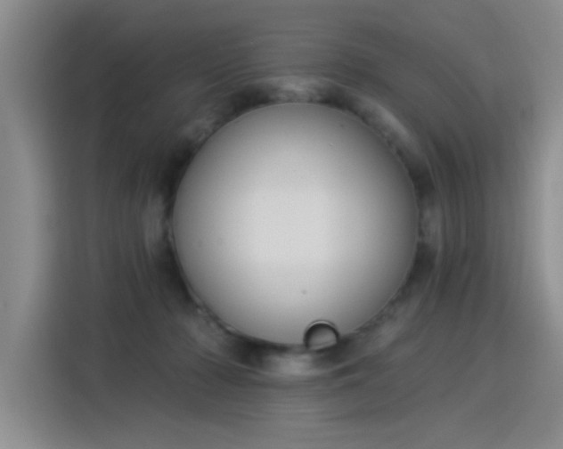 X0000115850318200911201619