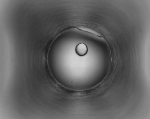 X0000115850320200911201619
