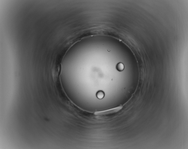 X0000115850324200911201618