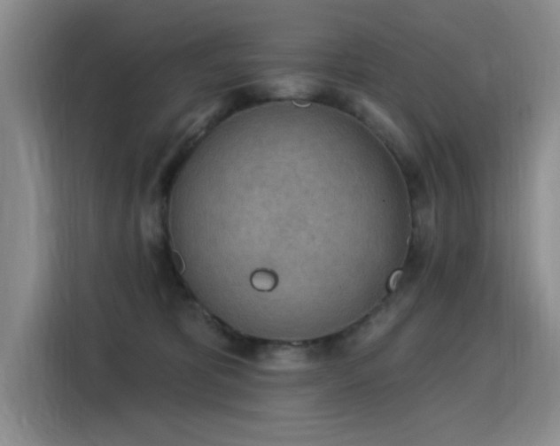 X0000115850325200911201618
