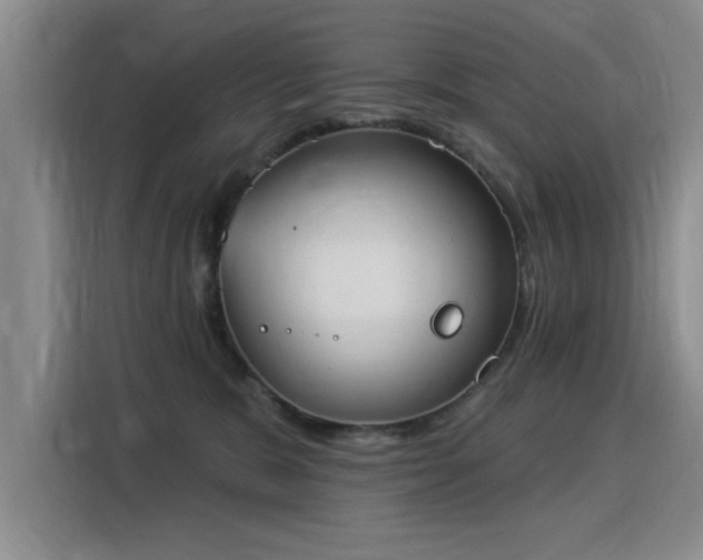 X0000115850327200911201618