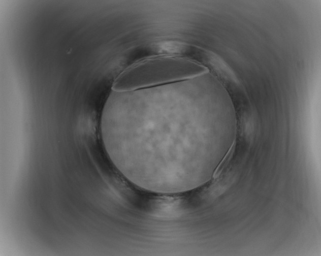X0000115850328200911201618