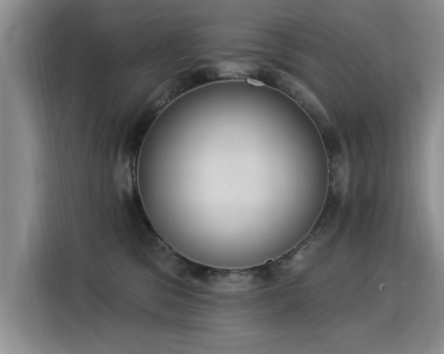 X0000115850329200911201618