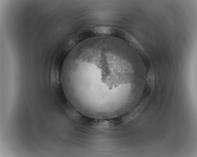 X0000115850330200911201618
