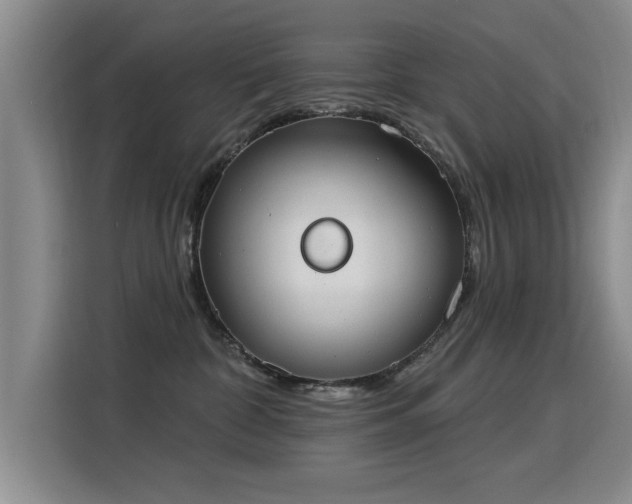 X0000115850332200911201618
