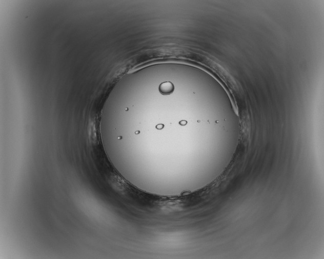 X0000115850333200911201618