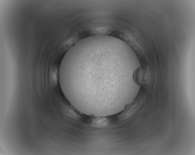 X0000115850334200911201618