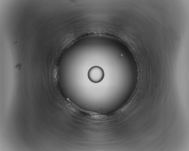 X0000115850336200911201618