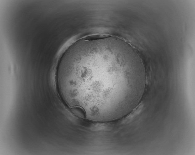 X0000115850341200911201618