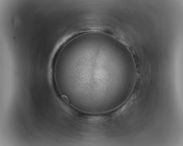 X0000115850342200911201618