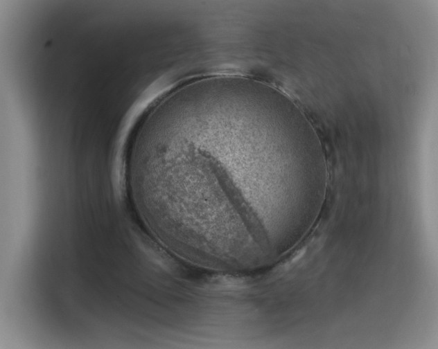 X0000115850343200911201618