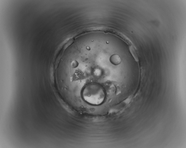 X0000115850345200911201618