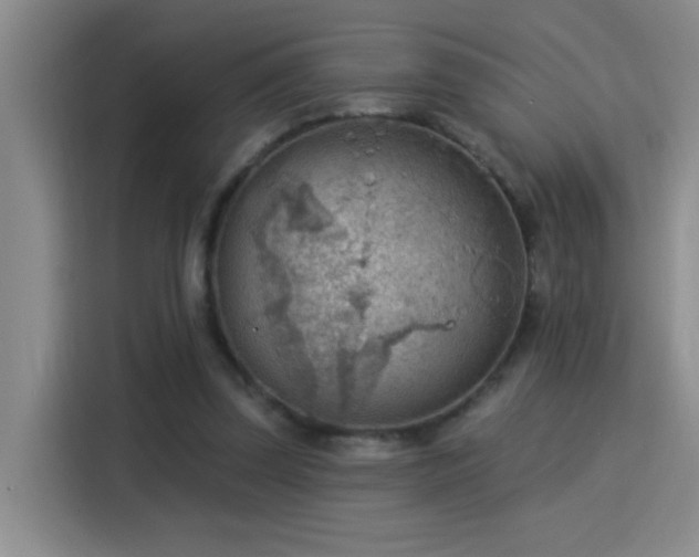 X0000115850347200911201618
