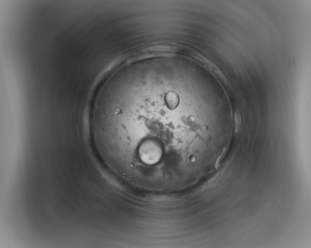 X0000115850349200911201618