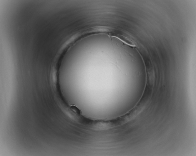 X0000115850350200911201618