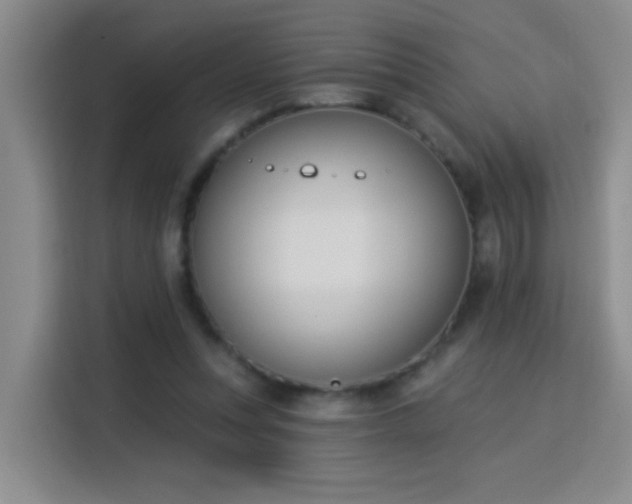X0000115850351200911201618