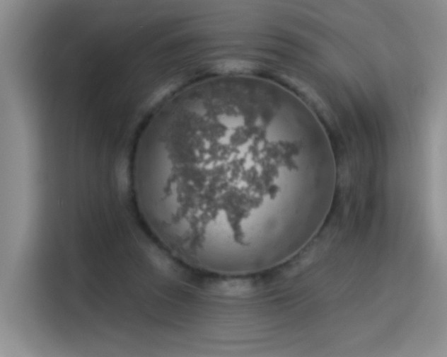 X0000115850353200911201618